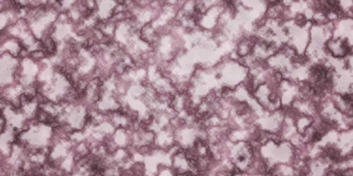 Top 10 Private Jet Charter Companies: A Guide To Luxury Air Travel