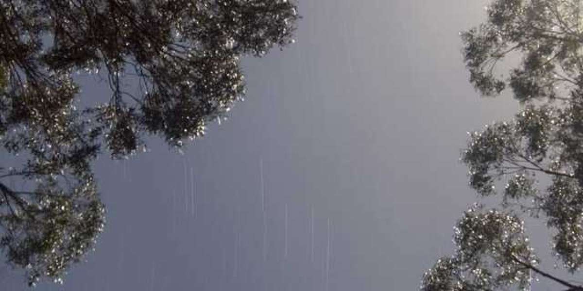 CrownCoins Casino Promo Code: 1 5M Crown Coins + 75 SC Bonus